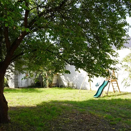 Apolize Saint-Remy-la-Varenne